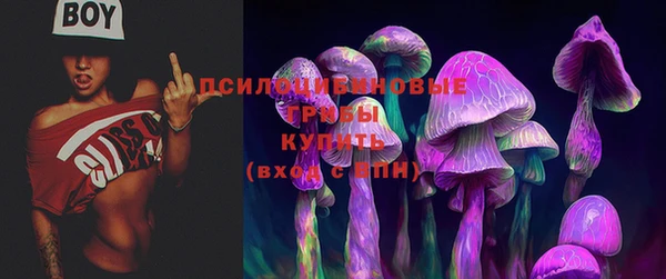 прущие крисы Балабаново