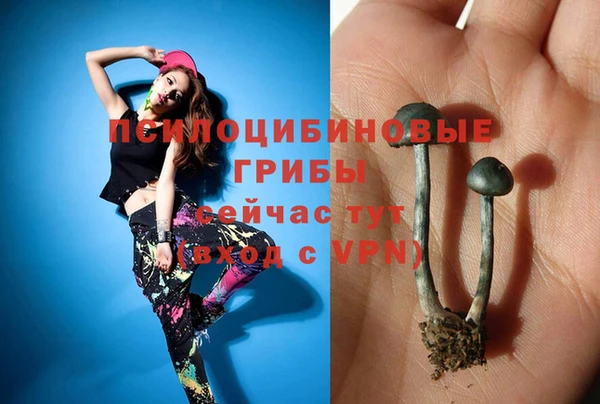 спиды Армянск