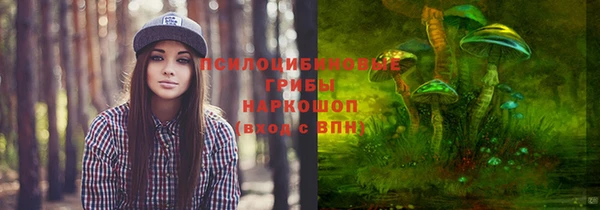 спиды Армянск