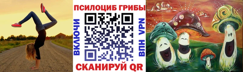 Псилоцибиновые грибы Psilocybe  mega сайт  Новосибирск 